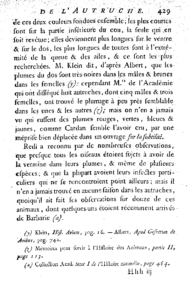 L'Autruche.