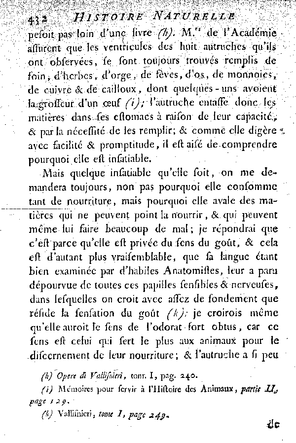 L'Autruche.