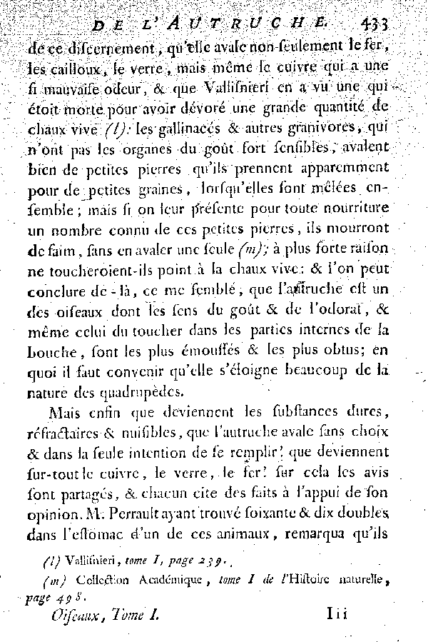 L'Autruche.