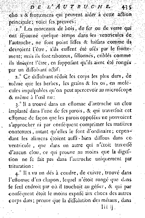L'Autruche.