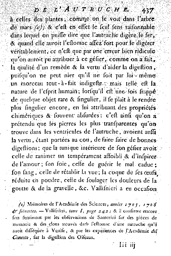 L'Autruche.