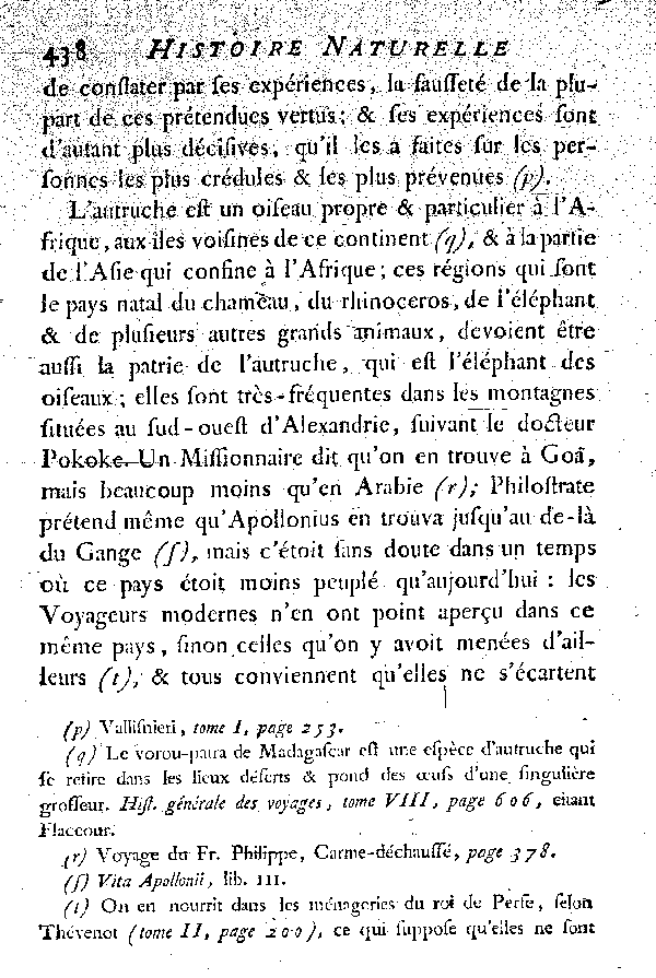 L'Autruche.