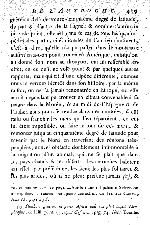 L'Autruche.
