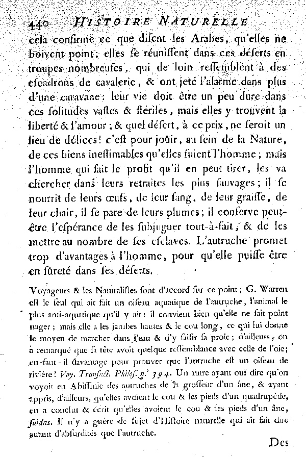 L'Autruche.