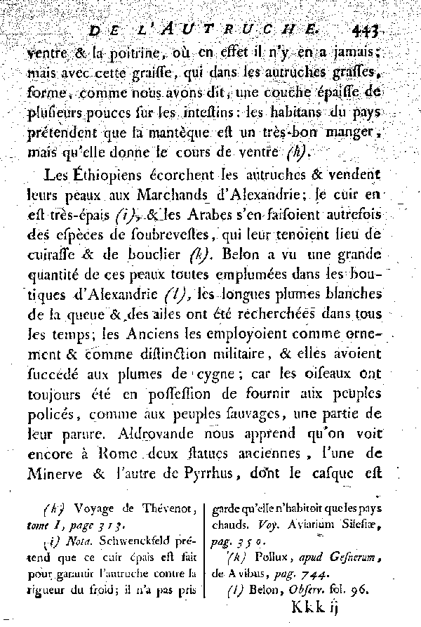 L'Autruche.