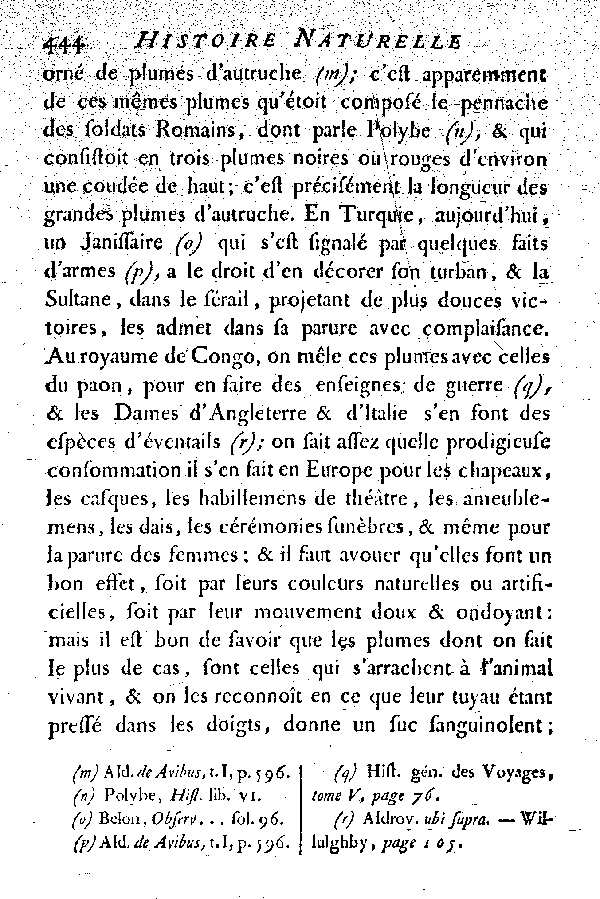 L'Autruche.