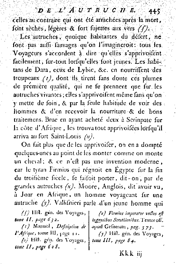 L'Autruche.