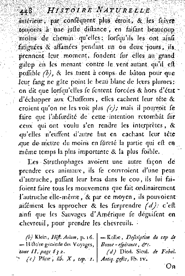 L'Autruche.