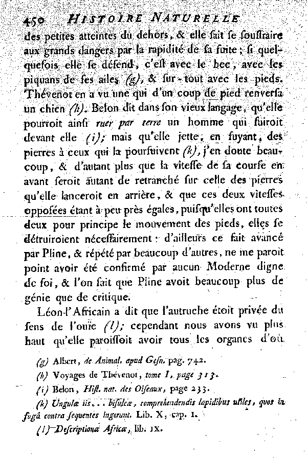 L'Autruche.