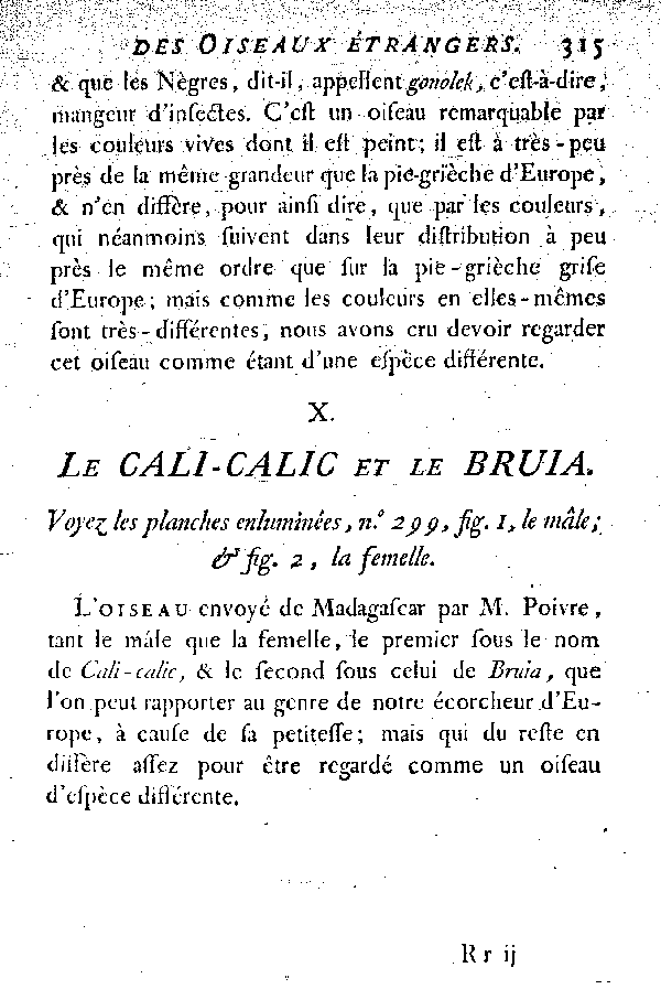 X. Le Cali-Calic et le Bruia.