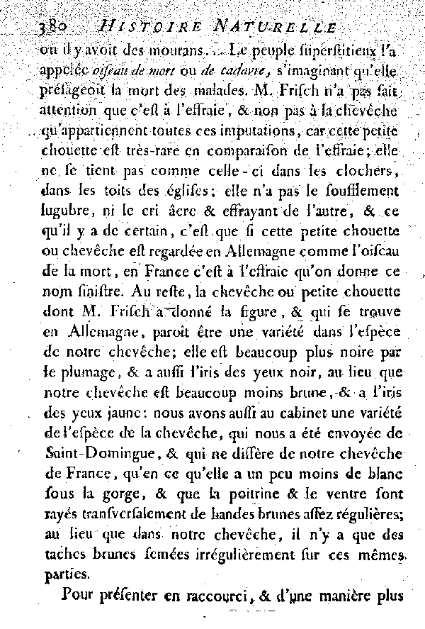 La Chevêche ou petite Chouette