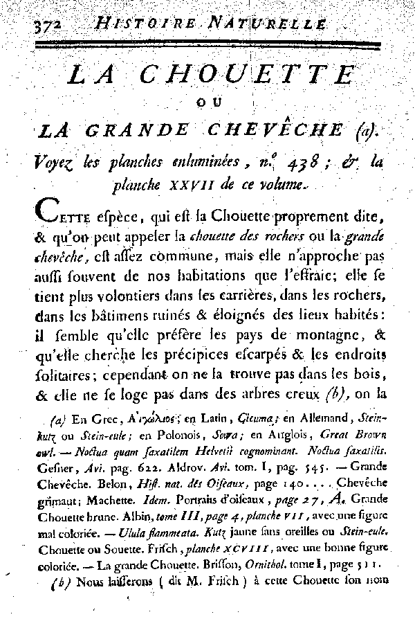 La Chouette ou la grande Chevêche