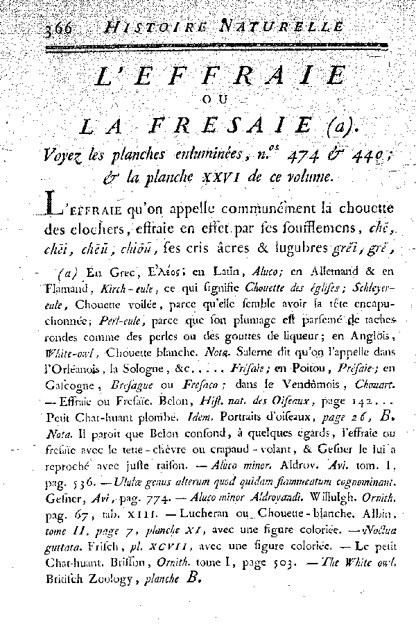 L'Effraie ou la Fresaie.