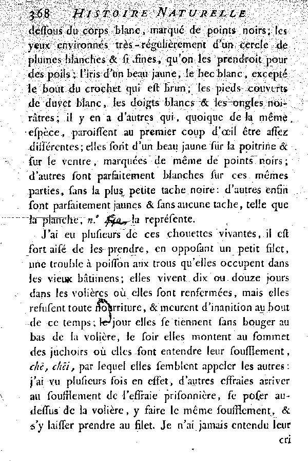 L'Effraie ou la Fresaie.