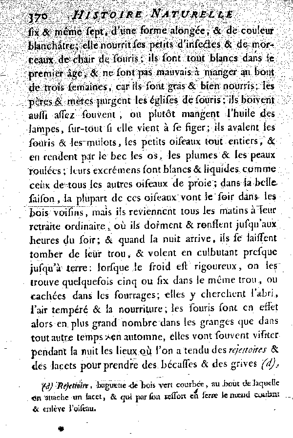 L'Effraie ou la Fresaie.