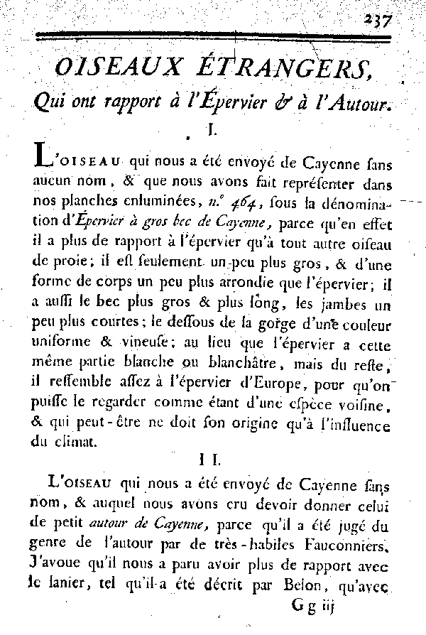 Oiseaux étrangers qui ont rapport à l'épervier et à l'Autour