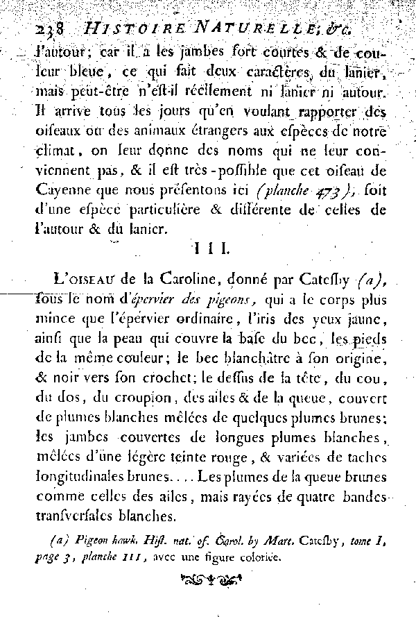 Oiseaux étrangers qui ont rapport à l'épervier et à l'Autour