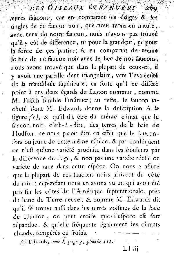 Oiseaux étrangers qui ont rapport au Gerfaut et aux Faucons