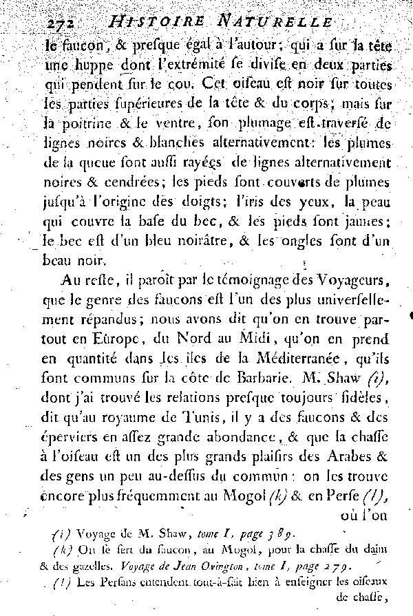 Oiseaux étrangers qui ont rapport au Gerfaut et aux Faucons