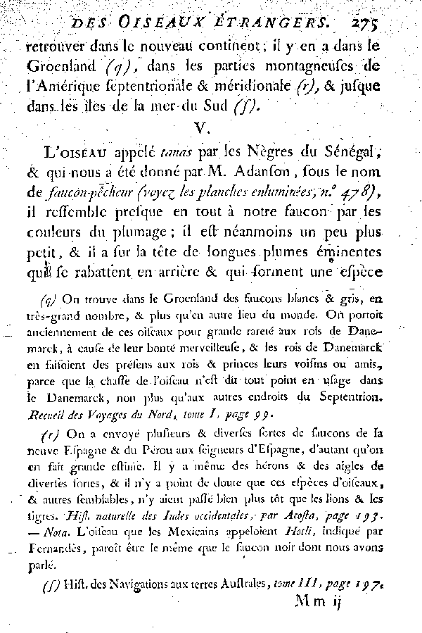 Oiseaux étrangers qui ont rapport au Gerfaut et aux Faucons