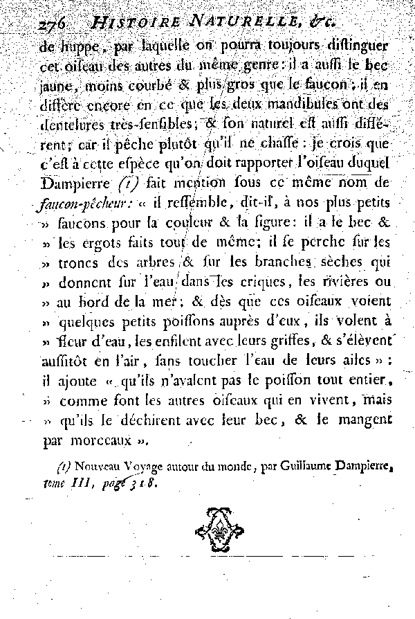 Oiseaux étrangers qui ont rapport au Gerfaut et aux Faucons