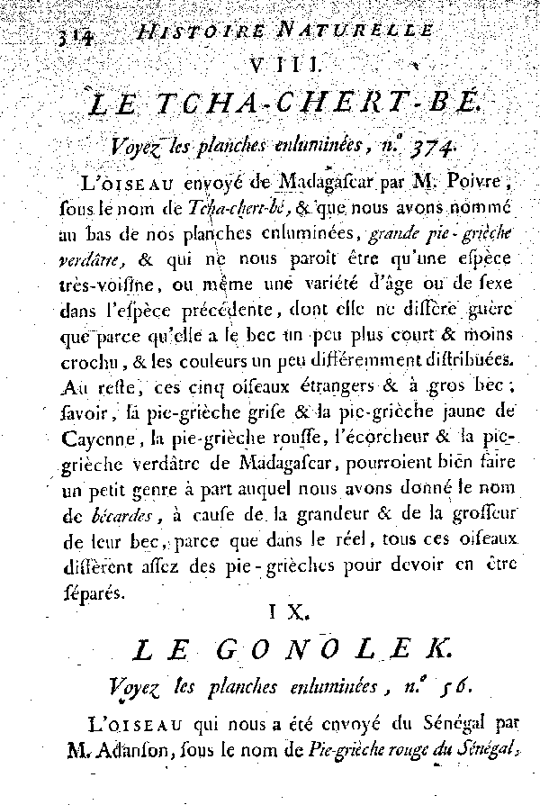 IX. Le Gonolek.