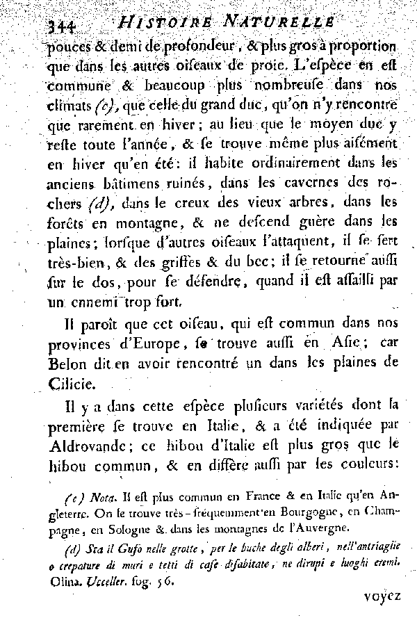 Le Hibou ou moyen Duc.