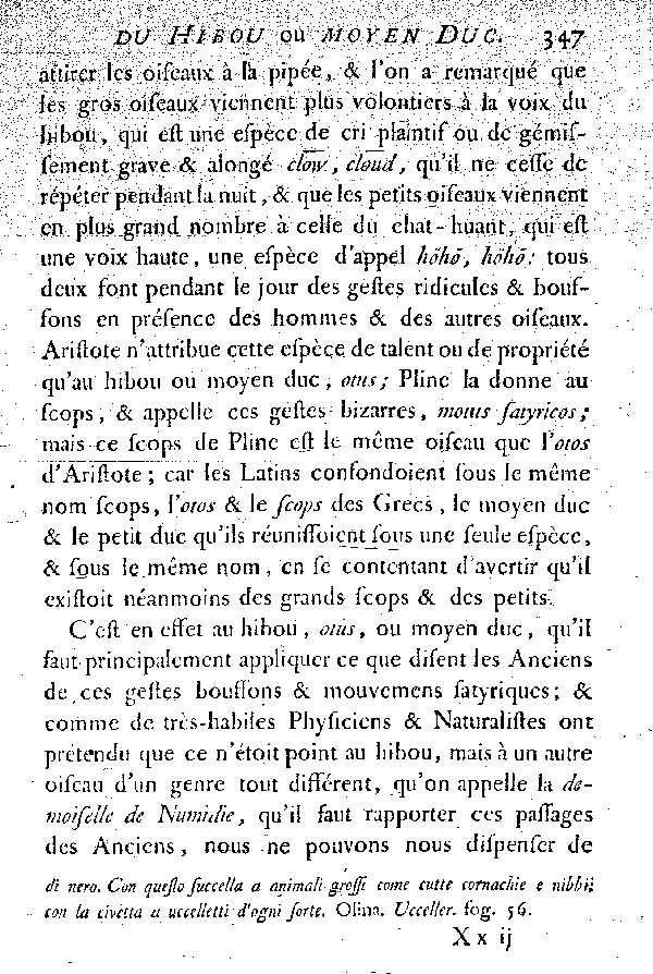 Le Hibou ou moyen Duc.