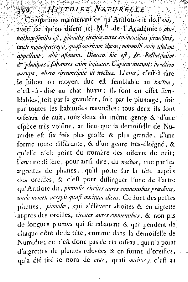 Le Hibou ou moyen Duc.