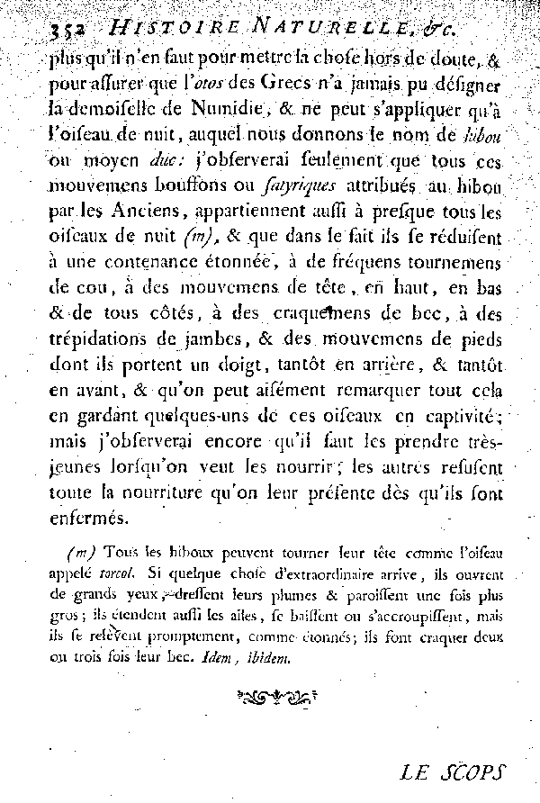 Le Hibou ou moyen Duc.