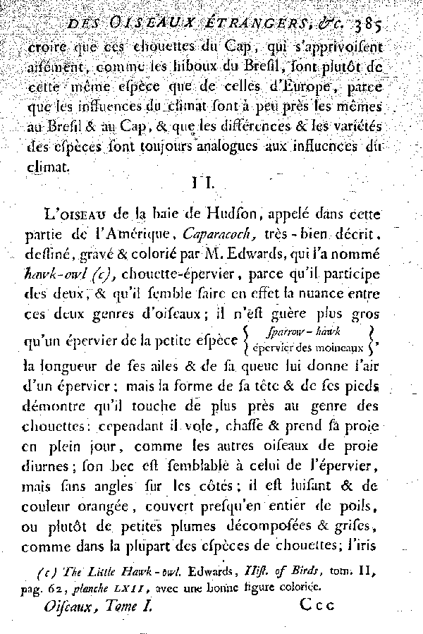 Oiseaux étrangers qui ont rapport aux Hiboux et aux Chouettes.