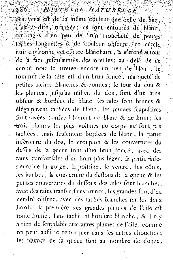 Oiseaux étrangers qui ont rapport aux Hiboux et aux Chouettes.