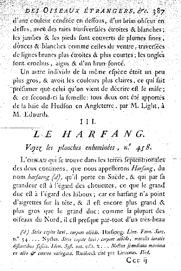 Oiseaux étrangers qui ont rapport aux Hiboux et aux Chouettes.