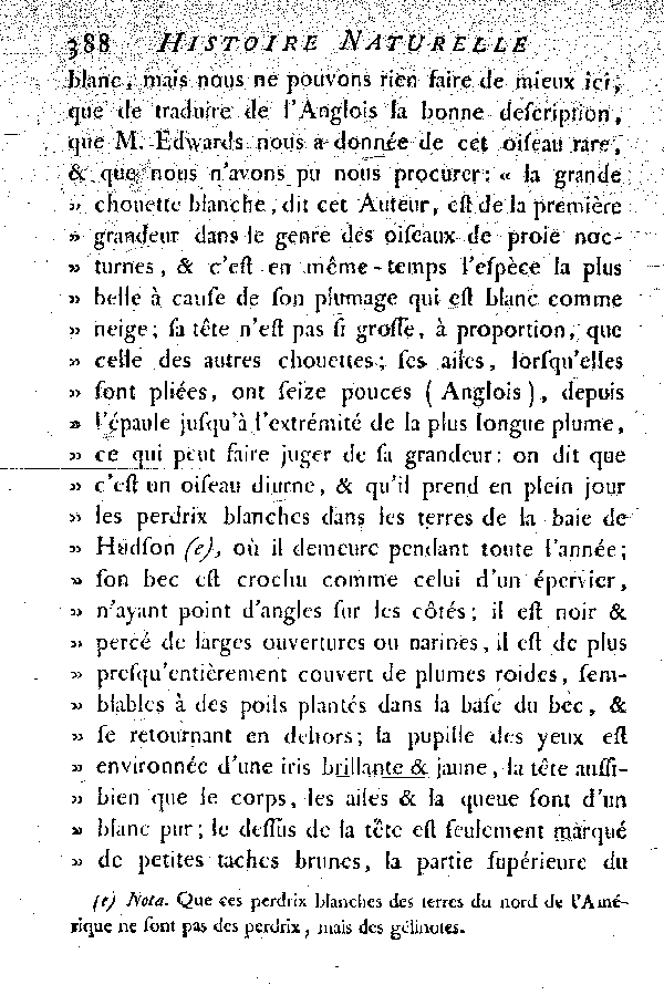 Oiseaux étrangers qui ont rapport aux Hiboux et aux Chouettes.