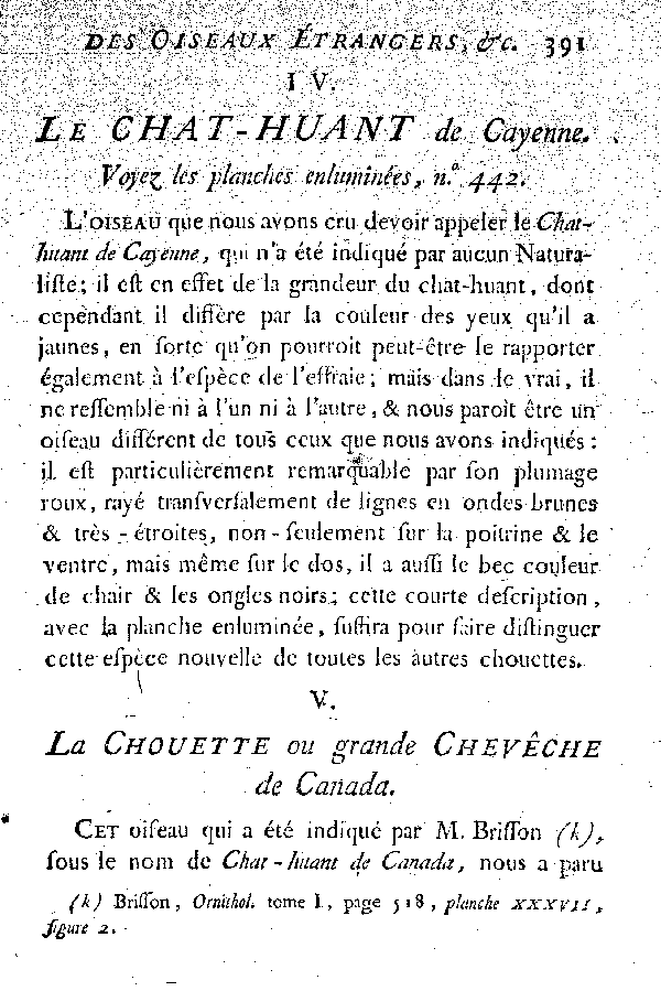 Oiseaux étrangers qui ont rapport aux Hiboux et aux Chouettes.