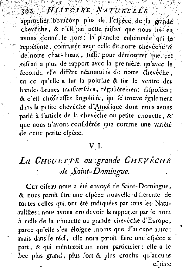 Oiseaux étrangers qui ont rapport aux Hiboux et aux Chouettes.