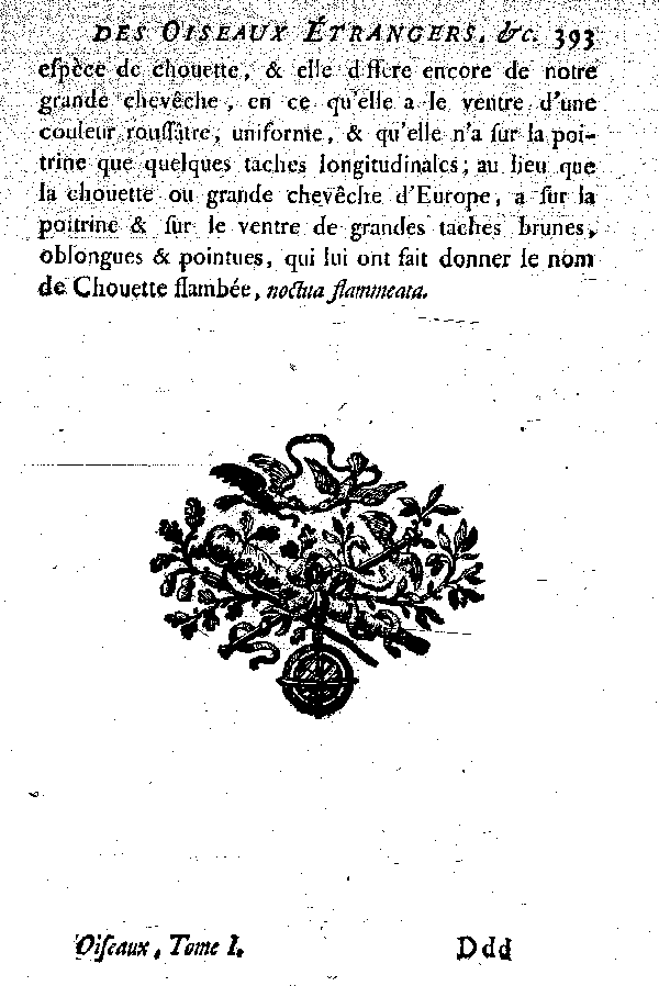 Oiseaux étrangers qui ont rapport aux Hiboux et aux Chouettes.