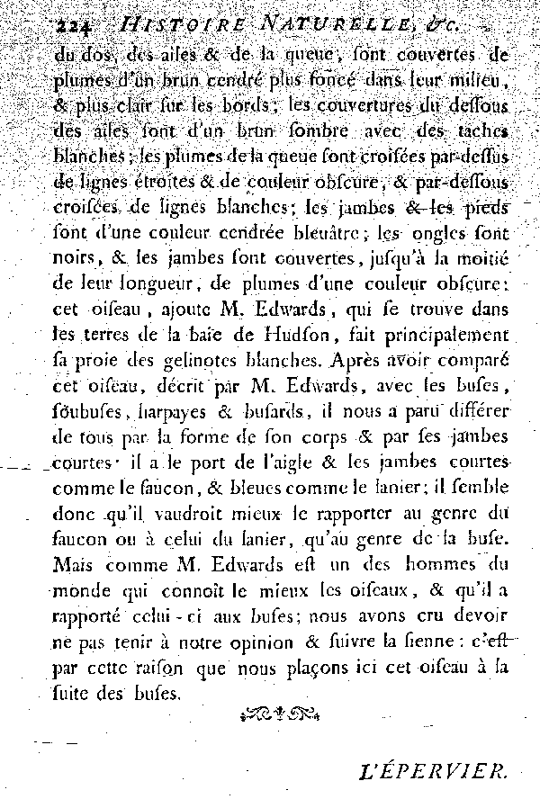 Oiseaux étrangers qui ont rapport au Milan, aux Buses et Soubuses