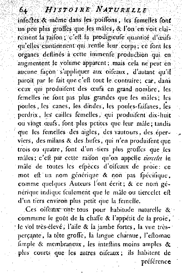 Les Oiseaux de proie.