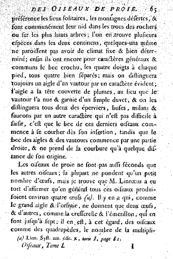 Les Oiseaux de proie.