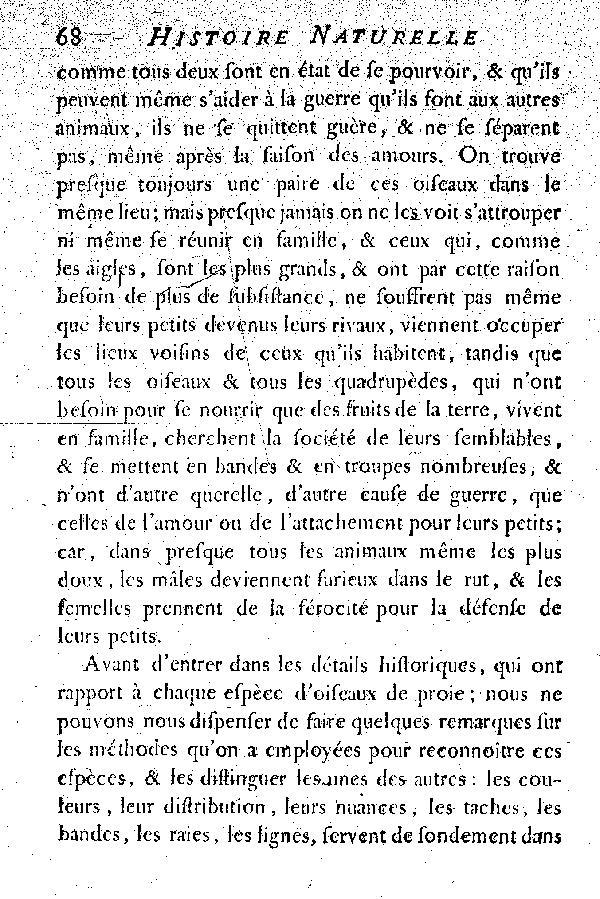 Les Oiseaux de proie.