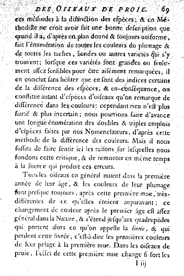 Les Oiseaux de proie.