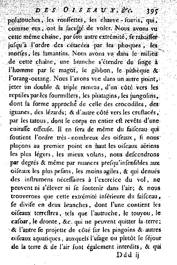 Oiseaux qui ne peuvent voler.