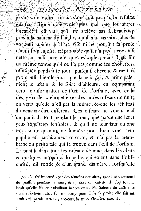 L'Orfraie.