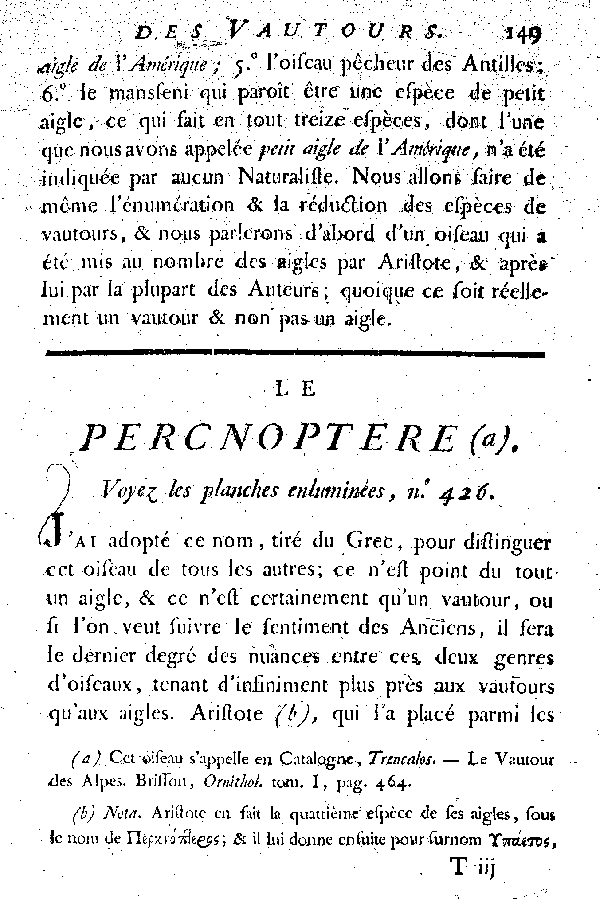 Le Percnoptere.