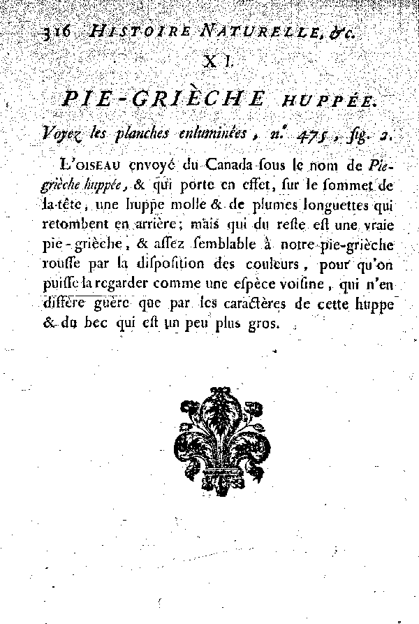 XI. Pie-grièche huppée.