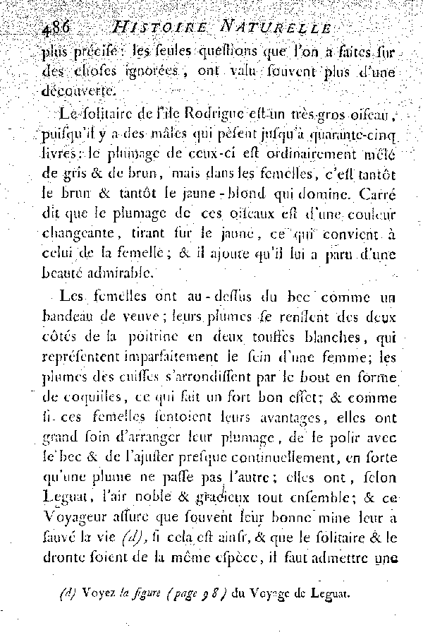 Le Solitaire et l'Oiseau de Nazare.