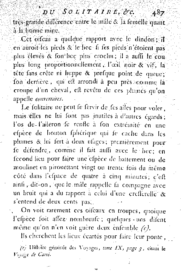 Le Solitaire et l'Oiseau de Nazare.