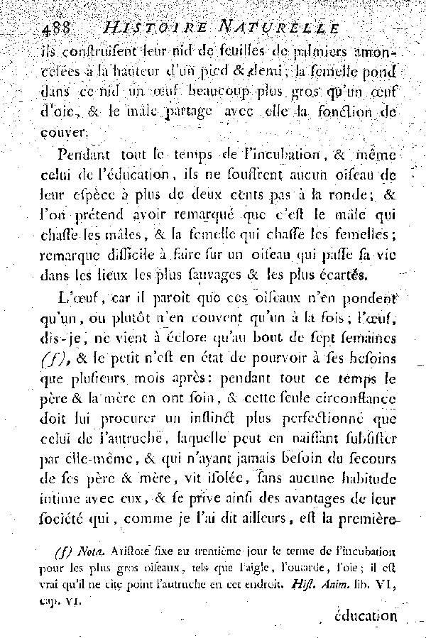 Le Solitaire et l'Oiseau de Nazare.