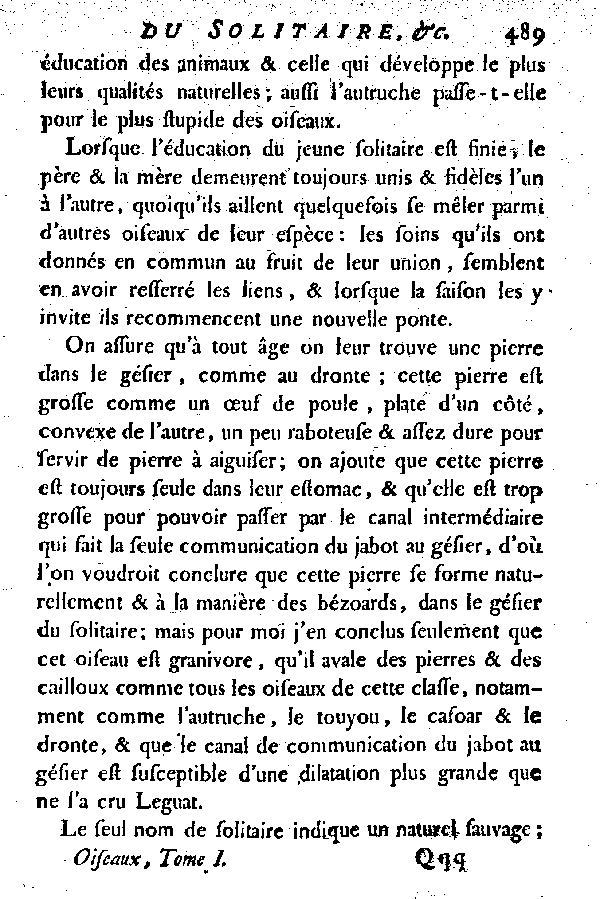 Le Solitaire et l'Oiseau de Nazare.